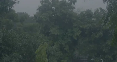Rain Falling Video stock 219452566