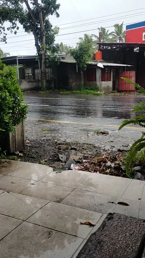 Rain is falling Stock Footage 330235860