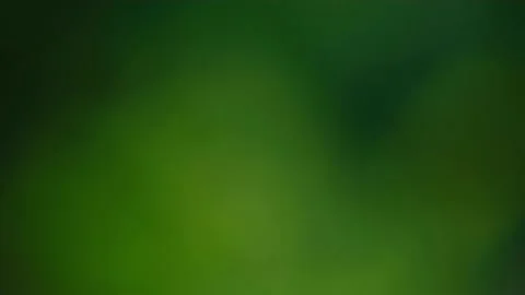 Rain falling in the forest Stock Footage 138453917