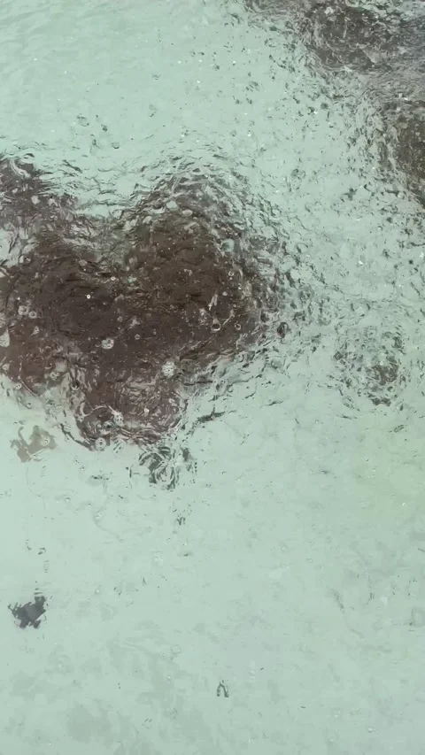Rain falling on the fountain pool, 4k video Stock Footage 248083244