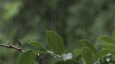 Rain Falling Frame Rack 2 스톡 동영상 27425746