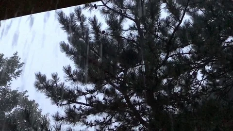 Rain Falling at the Front Door, Looking Across at Neighbors Stock-Footage 78881435