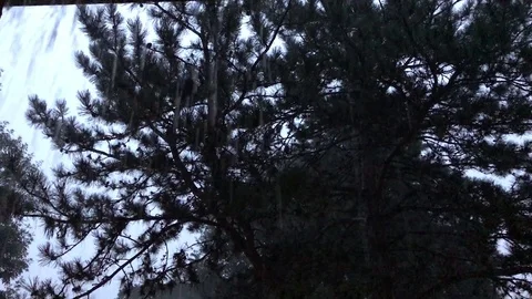 Rain Falling at the Front Door, Looking Across at Neighbors Stock Footage 78881473