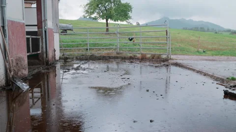 Rain Falling in Front of an Open Barn with a Metal Gate at a Rural Farm, Bavaria Video stock 345063453