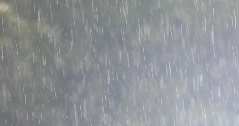 Rain falling in the garden Stock Footage 160595296