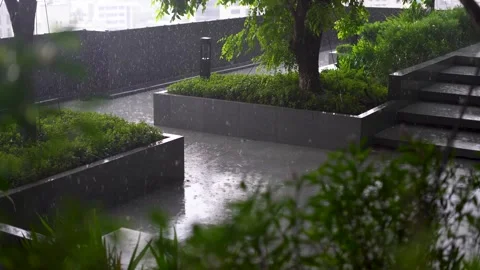 Rain falling in a garden, with raindrops rhythmically dripping into a puddle Stock Footage 241308418