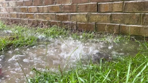 Rain falling on grass and puddle 스톡 동영상 201029956