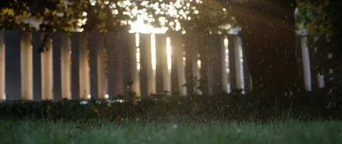 Rain Falling into Grass from Maple Tree During Golden Hour Stock Footage 129600684