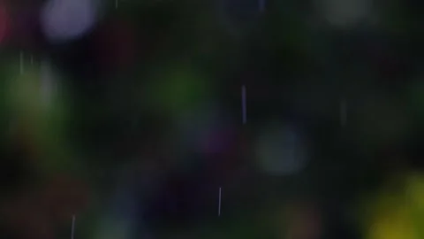 Rain falling in green forest Video stock 138457192