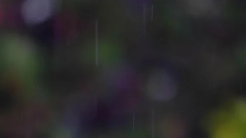 Rain falling in green forest Stock Footage 138457342