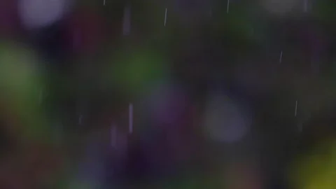 Rain falling in green forest Stock-Footage 138457346