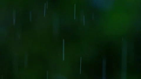 Rain falling in green forest Stock Footage 247167135