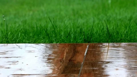 Rain falling on green grass and tiles Stock Footage 215713823