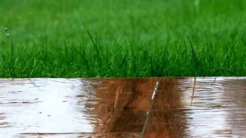 Rain falling on green grass and tiles Stock Footage 215762965