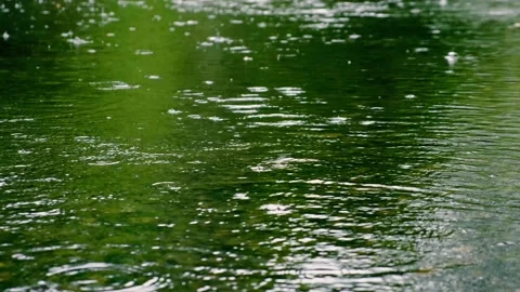 Rain falling on the green lake in forest Video stock 138453139