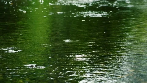 Rain falling on the green lake in forest Stock Footage 138453144
