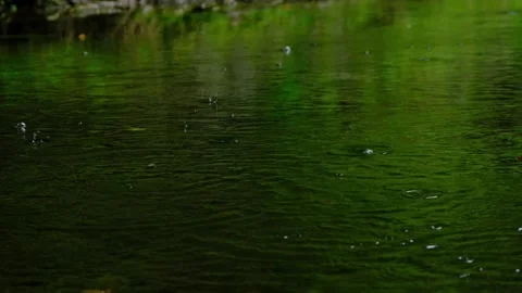 Rain falling on the green lake in forest Stock Footage 138453283