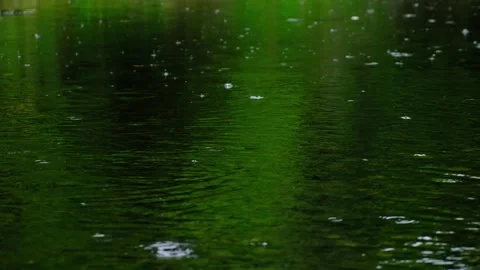 Rain falling on the green lake in forest Video stock 138453566