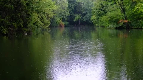 Rain falling on green lake in forest Stock Footage 138744483