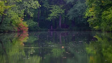 Rain falling on green lake in forest Stock Footage 138744619