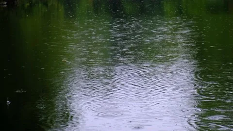 Rain falling on green lake in forest Stock Footage 138744630