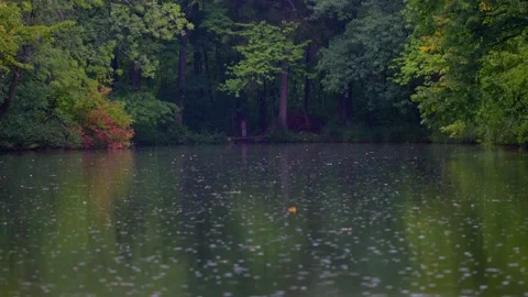 Rain falling on green lake in forest Stock Footage 138744638