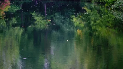 Rain falling on green lake in forest Stock Footage 138744642