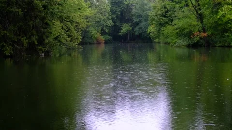 Rain falling on green lake in forest Stock Footage 138744709