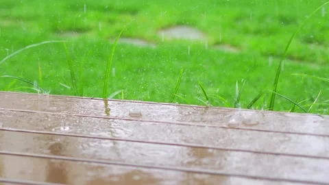 Rain falling on a green lawn and wooden deck, captured in 4k slow motion 60fp Stock Footage 283088588