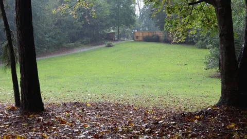 Rain Falling on Green Lawn and Trees During Summer Shower Stock Footage 319026978
