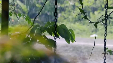 Rain falling on green leaves and metal chains in a garden with wet road 스톡 동영상 329225975