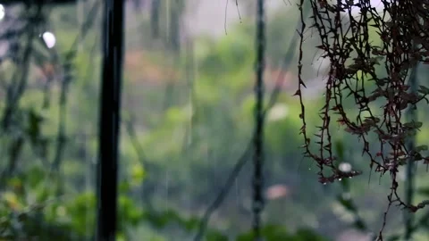 Rain falling on green leaves and metal chains in a garden with wet road Stock Footage 329267619