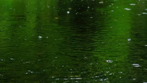 Rain falling on green pond Video stock 137406142