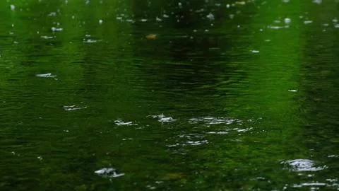 Rain falling on green pond Stock Footage 137406247