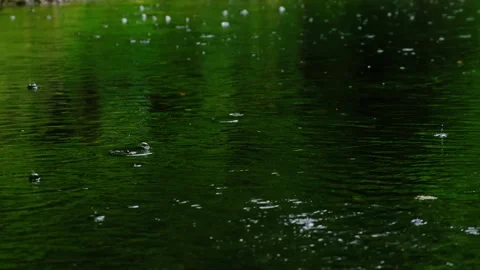 Rain falling on the green pond in forest Stock-Footage 138453401