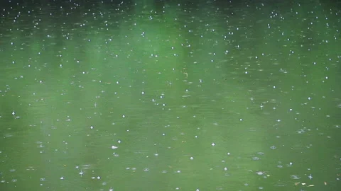 Rain falling on green pond in forest Stock Footage 149404080