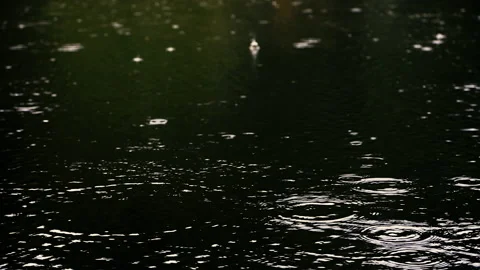 Rain falling on green pond in forest Stock Footage 149404298