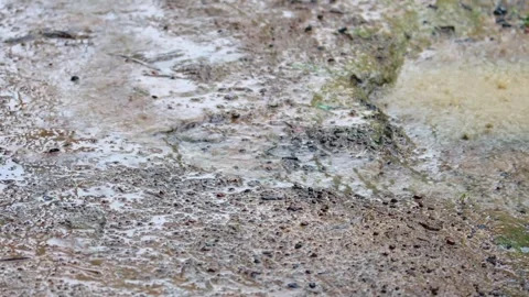 Rain falling on the ground, forming small puddles, with water eroding the soil t Stock Footage 345962201