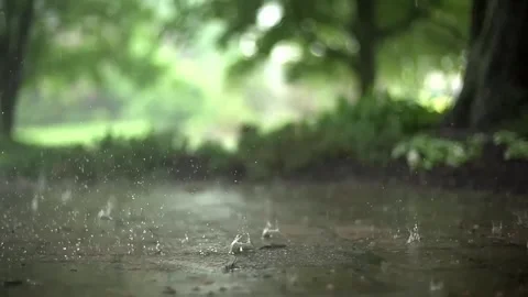 Rain falling on ground with park. Stock Footage 304974789