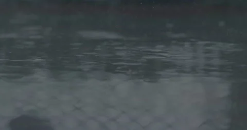 Rain Falling on Ground Slow Motion Stock Footage 219452723