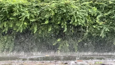 Rain falling heavily in slow motion into puddles on pavement Stock Footage 278993670