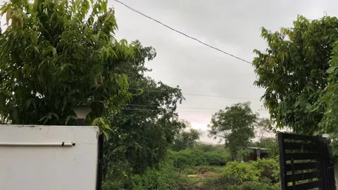 Rain Falling on House Garden Gate with Ashoka Trees and Lights on Boundary Wall Stock Footage 315267160