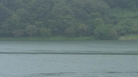Rain Falling on a Lake (4K 60P) Stock Footage 116765124