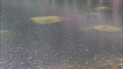 Rain falling on lake Stock Footage 93101357