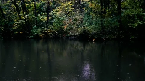 Rain falling on the lake Video stock 141064343