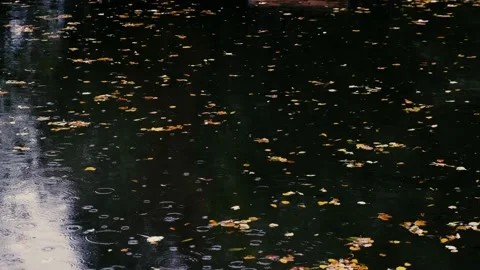 Rain falling on the lake Stock Footage 141064375