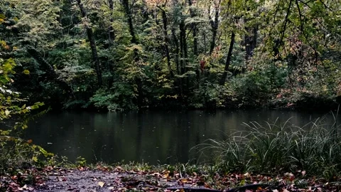 Rain falling on the lake Video stock 141064382