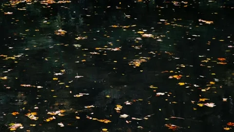 Rain falling on the lake Stock Footage 141064390