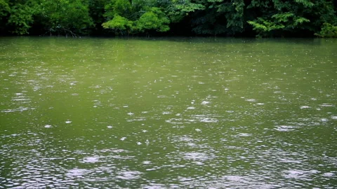 Rain falling on the lake Stock Footage 149404313