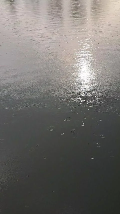 Rain Falling on a Lake Short Video Video stock 260731830